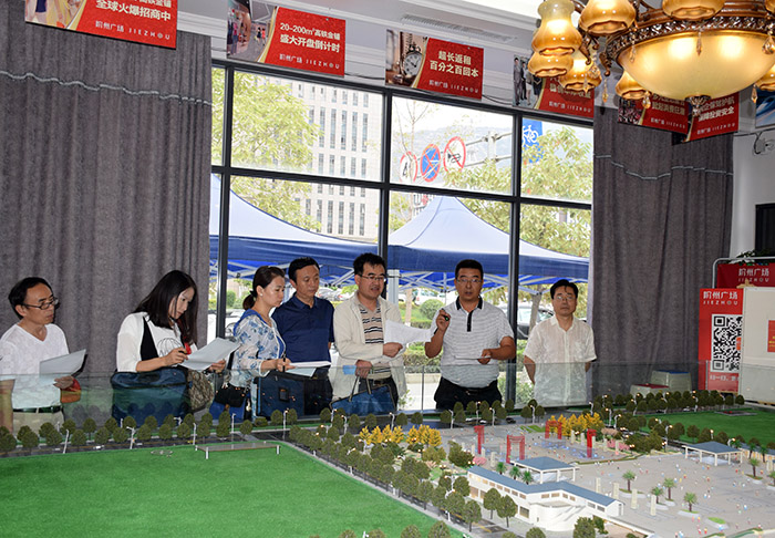 省、市聯(lián)合工作組蒞臨階州廣場檢查指導(dǎo)工作