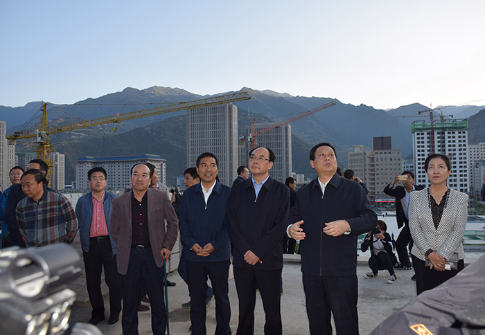 全國、省市政協(xié)委員體驗(yàn)蘭渝鐵路、視察階州廣場