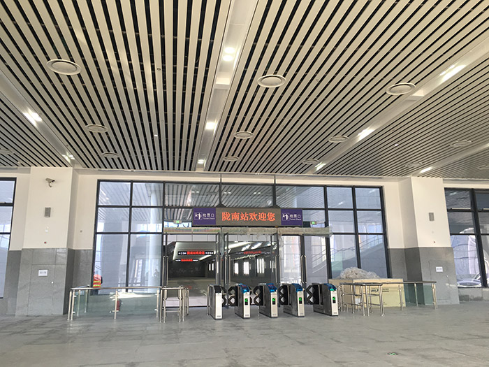 全國、省市政協(xié)委員體驗(yàn)蘭渝鐵路、視察階州廣場