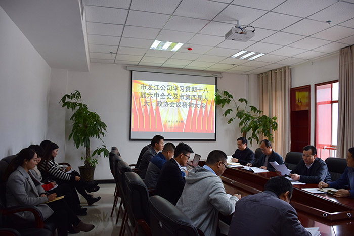 市龍江公司召開(kāi)全體員工大會(huì)，專(zhuān)題傳達(dá)學(xué)習(xí)上級(jí)會(huì)議精神