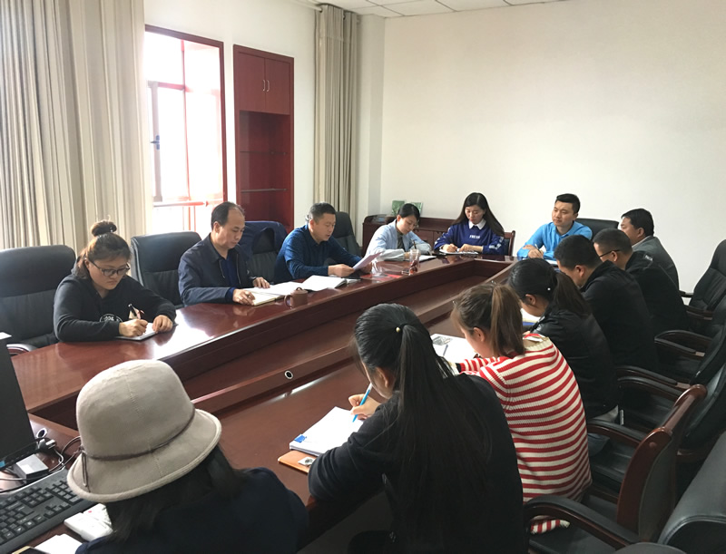 市龍江城鄉(xiāng)發(fā)展集團(tuán)專題學(xué)習(xí)近期中央、省、市紀(jì)律檢查委員會(huì)議精神