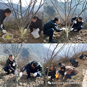 市龍江集團在文縣橋頭鎮(zhèn)安子坡村開展“解難題、辦實事、送溫暖”活動