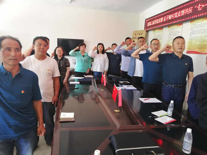 “感黨恩、憶黨史”，--市龍江城鄉(xiāng)發(fā)展集團(tuán)公司開(kāi)展慶祝建黨99周年主題黨日活動(dòng)